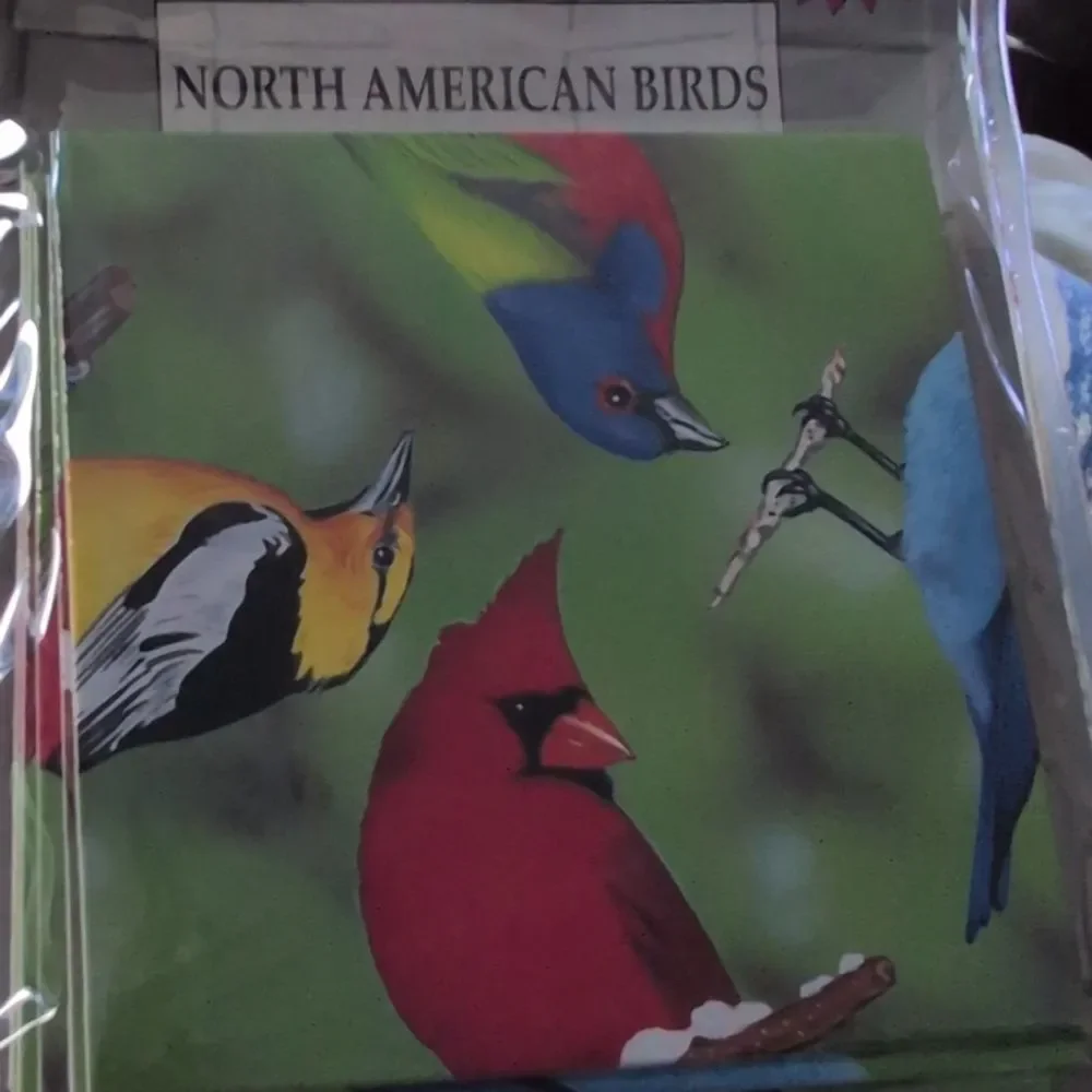 90s Vintage Scramble Squares North American Birds‎ Puzzle NIP